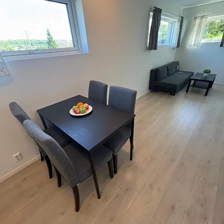 アパート Temis Apartment, Private New 1 Bed And 1 Living With Sofa Bed And Lagre Kitchen, Share With Nobody No Parties オスロ